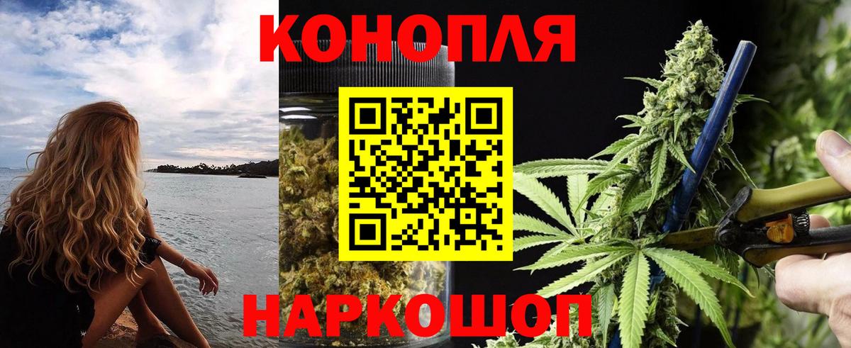 Марихуана конопля Бузулук